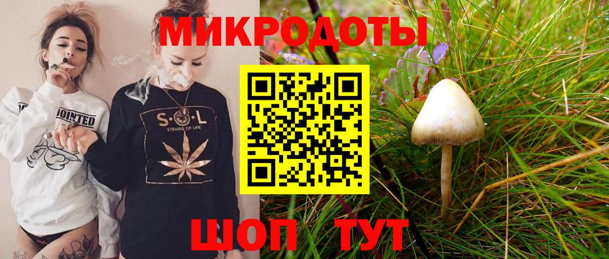 Псилоцибиновые грибы Cubensis Вятские Поляны