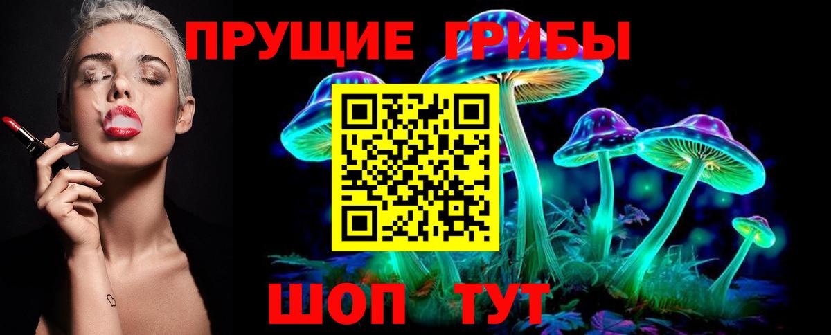 Галлюциногенные грибы MAGIC MUSHROOMS  Вход с VPN  Вятские Поляны 