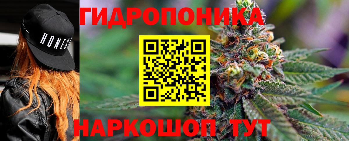 Каннабис Amnesia Вятские Поляны